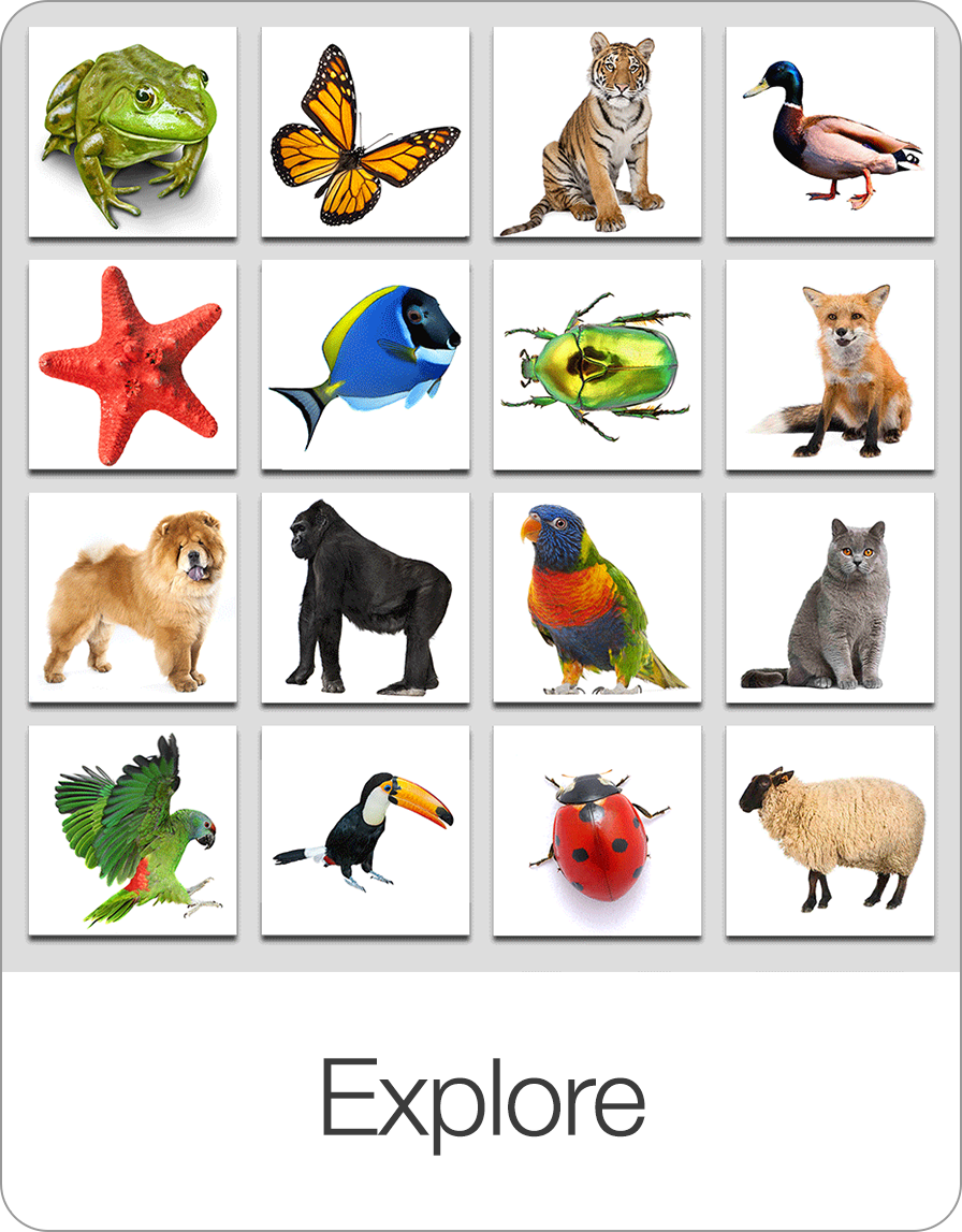 Communicator — Bitsboard | Flashcards & Mini-Games for Personalized Learning Screenshot