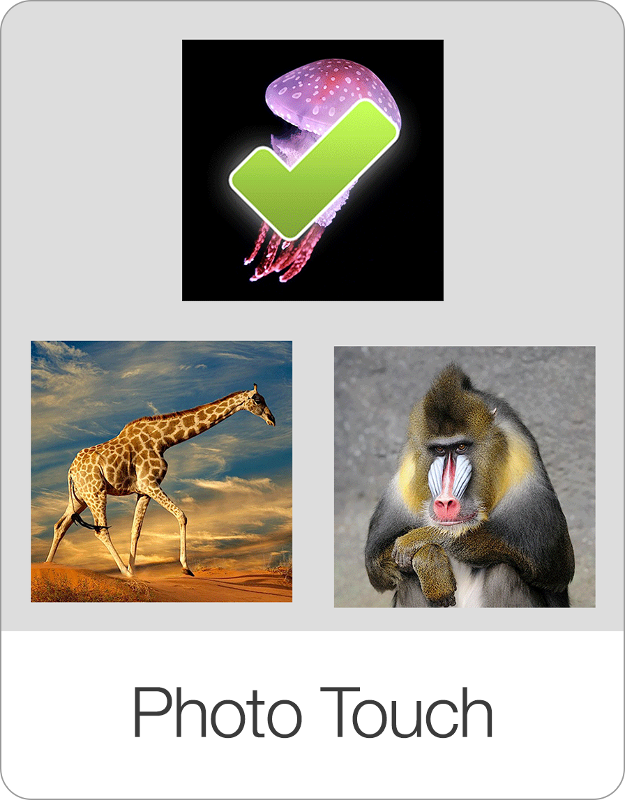 Communicator — Bitsboard | Flashcards & Mini-Games for Personalized Learning Screenshot