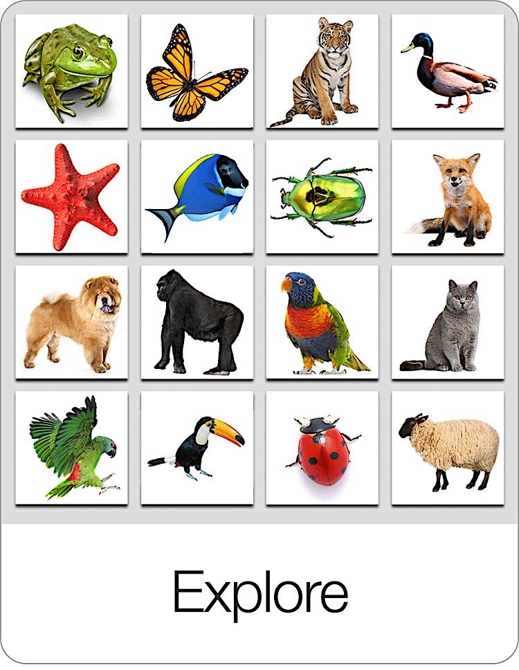 Crosswords — Bitsboard | Flashcards & Mini-Games for Personalized Learning Screenshot