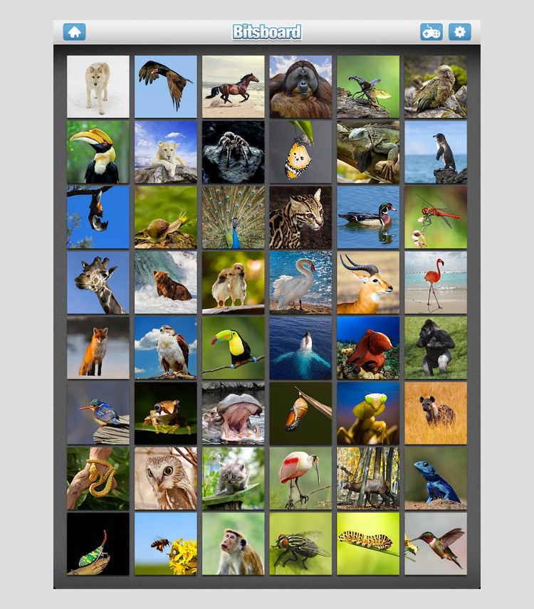 Explore: Lerninhalte frei entdecken in Bitsboard