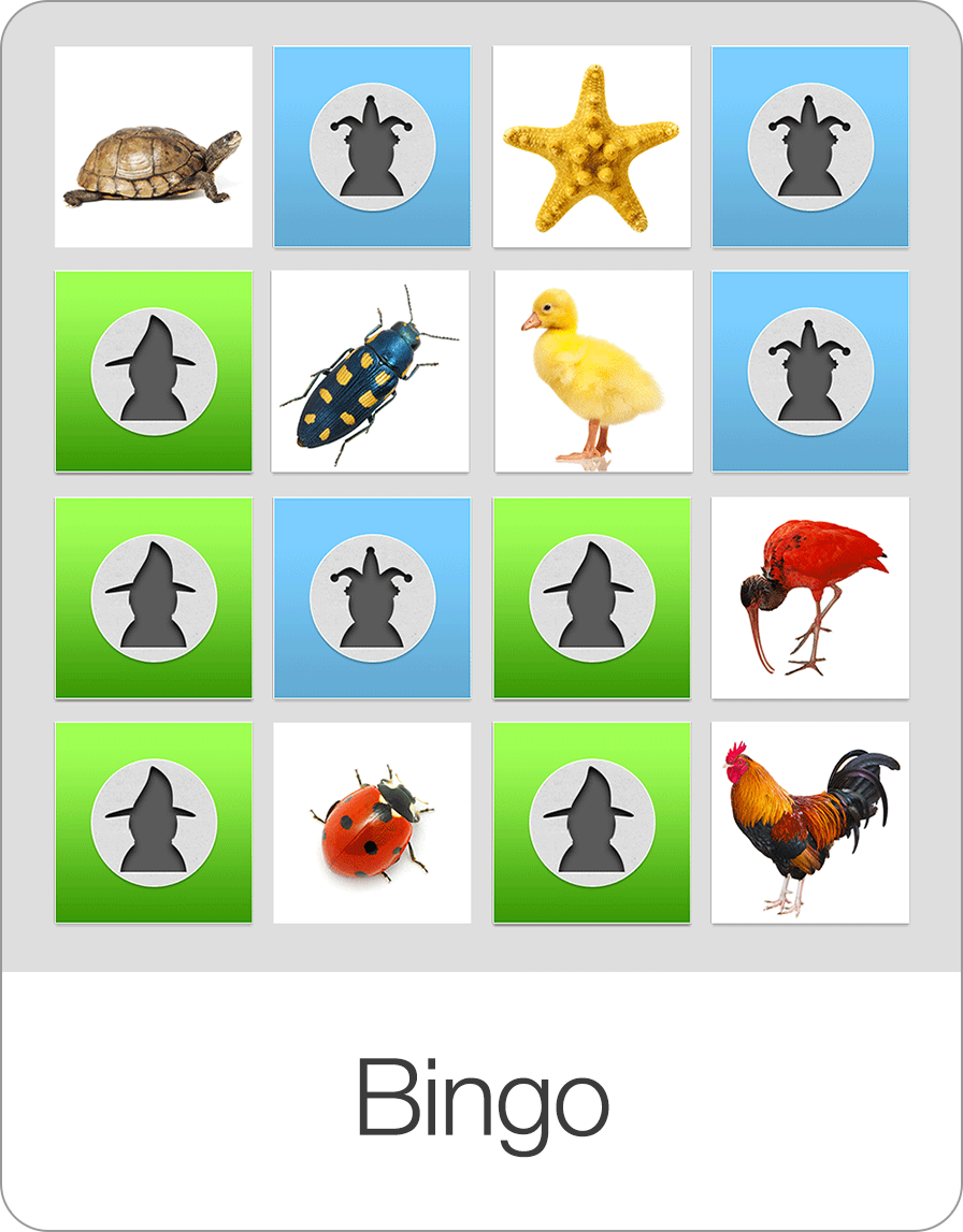 Bingo: Lernspiel für Gruppen und Unterricht