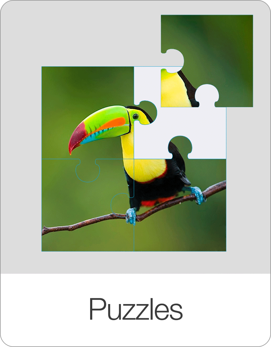 Puzzles