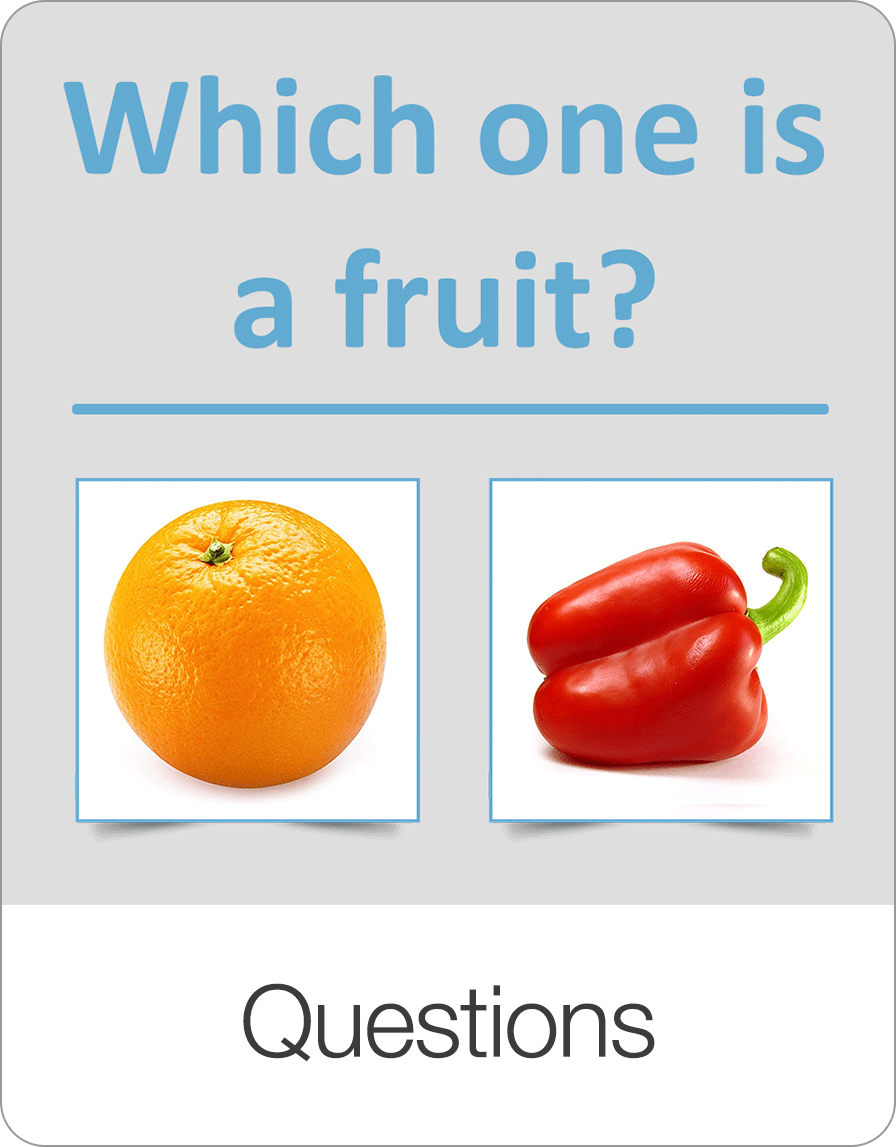 Questions: Eigene Fragen üben