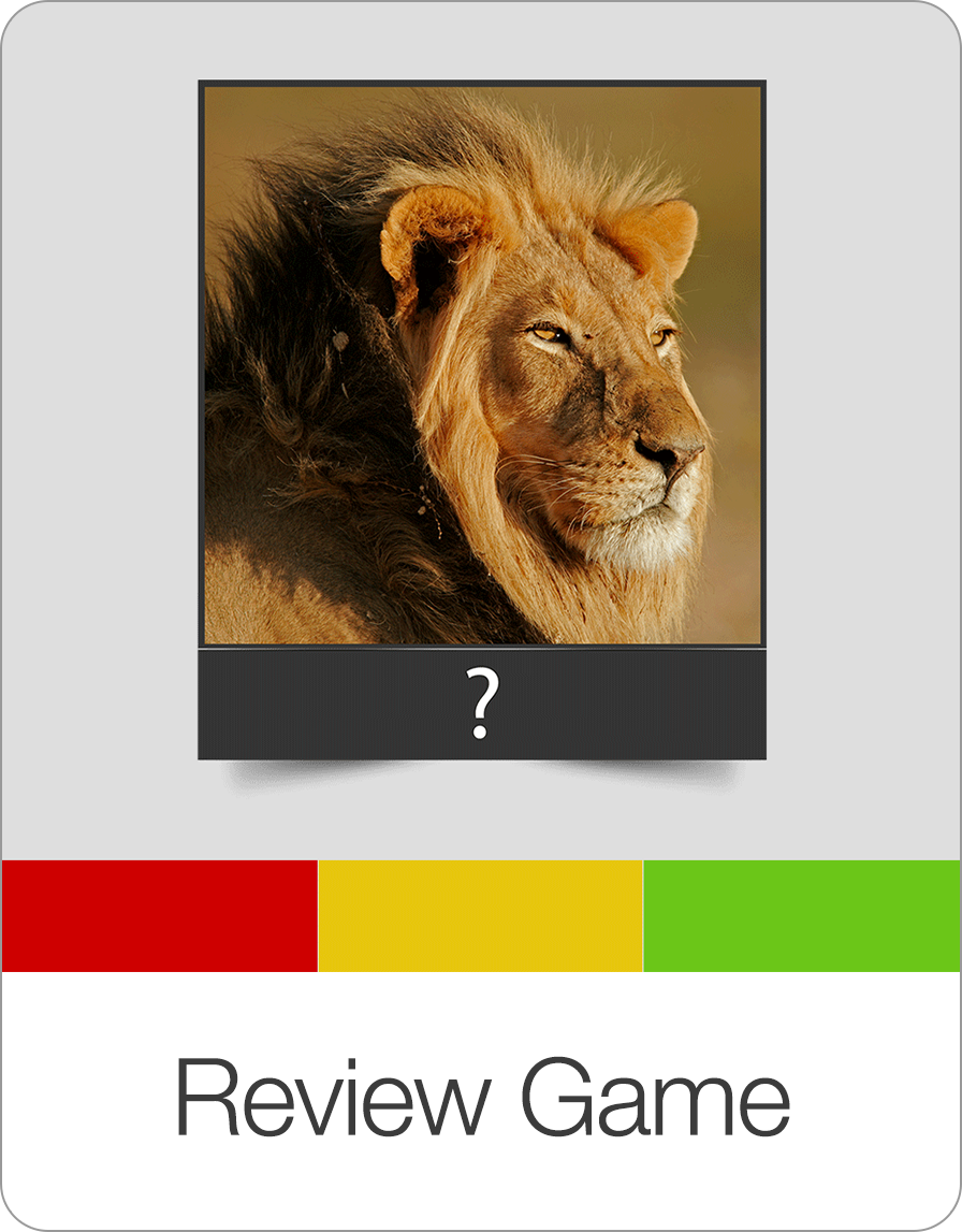 Review Game