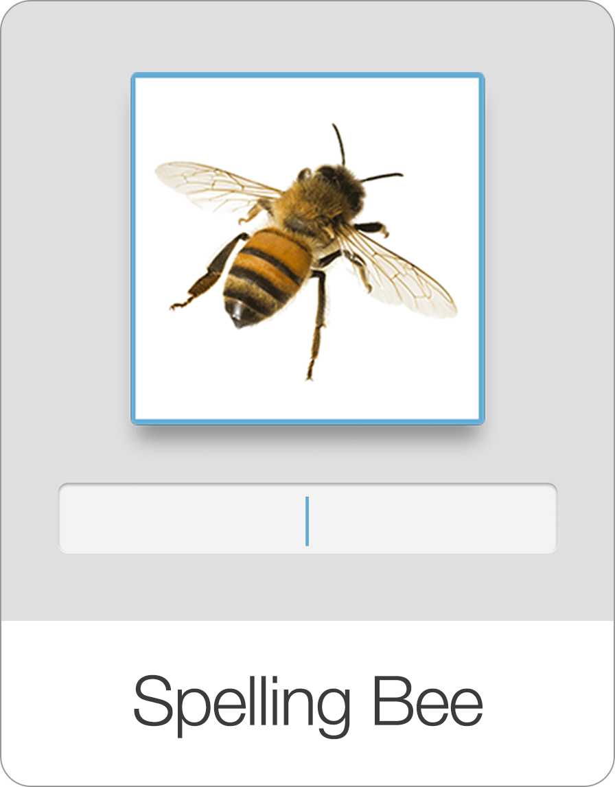 Spelling Bee: Rechtschreibung spielerisch üben
