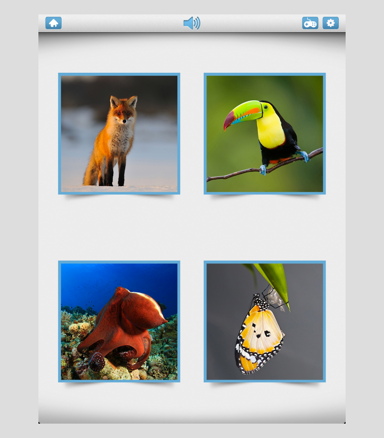 Photo Touch — Bitsboard | Flashcards & Mini-Games for Personalized Learning Hero Image