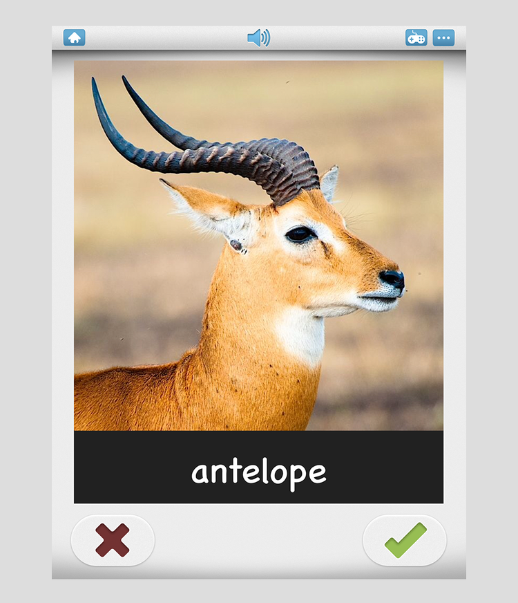 True or False: Aussagen überprüfen in Bitsboard