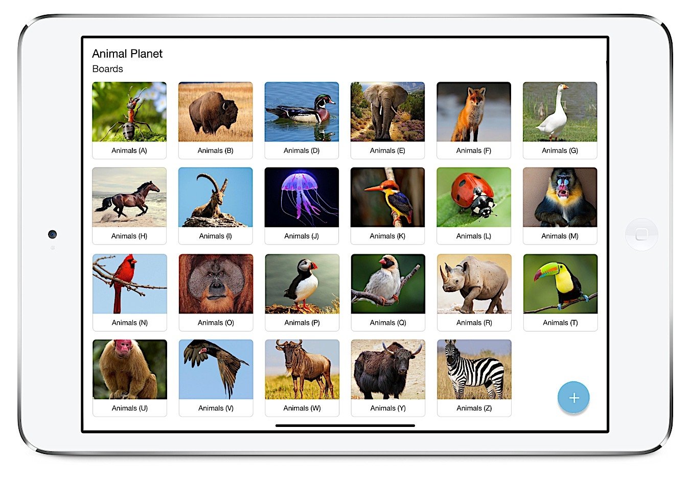 Bitsboard | Flashcards & Mini-Games for Personalized Learning Screenshot