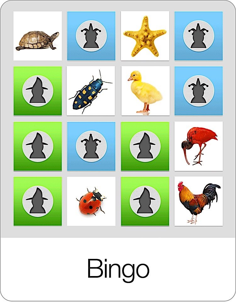 Bingo