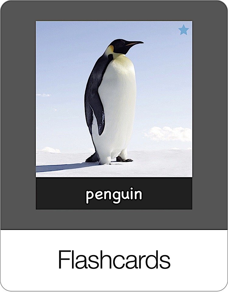 Flashcards