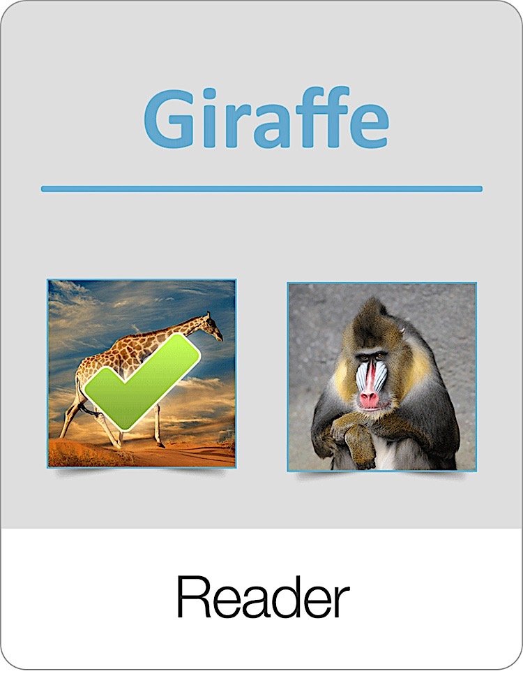 Reader