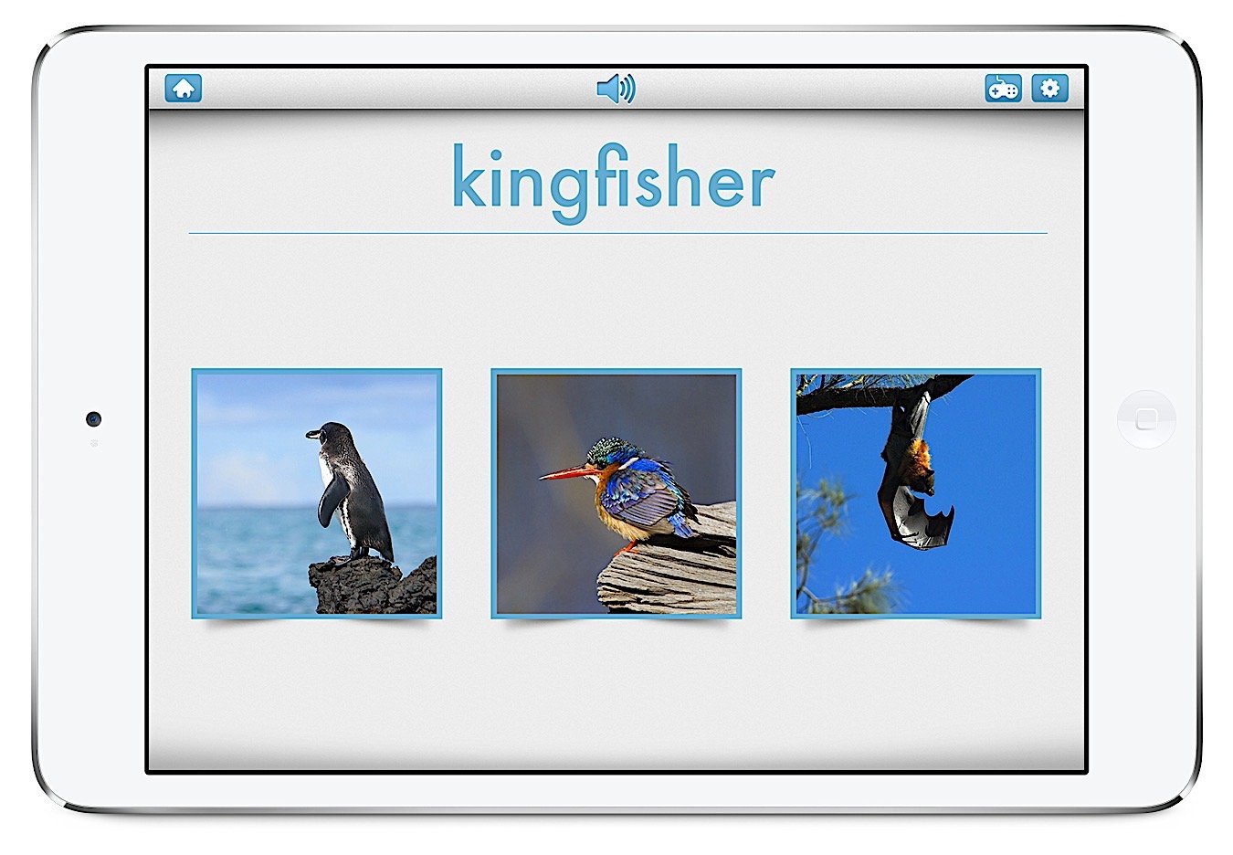 Bitsboard | Flashcards & Mini-Games for Personalized Learning Screenshot