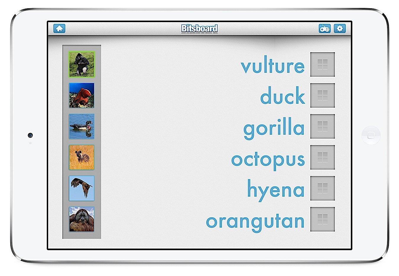 Bitsboard | Flashcards & Mini-Games for Personalized Learning Screenshot