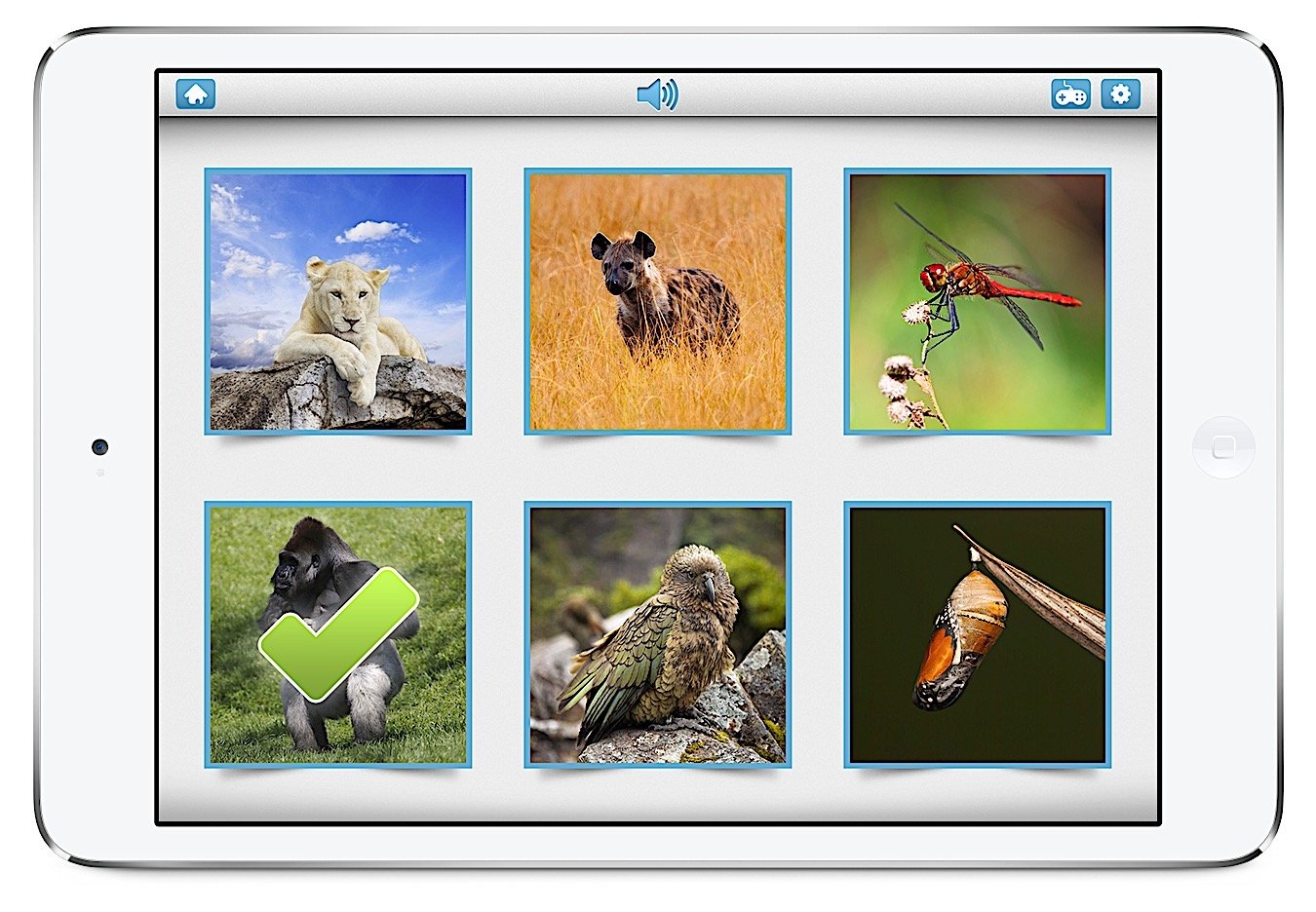 Bitsboard | Flashcards & Mini-Games for Personalized Learning Screenshot
