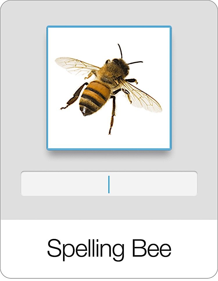 Spelling Bee