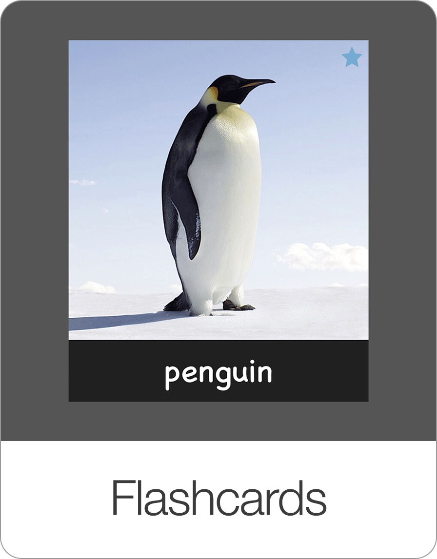 How to setup the Questions game? — Bitsboard | Flashcards & Mini-Games for Personalized Learning Screenshot