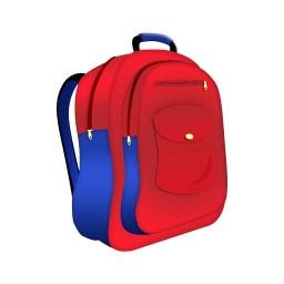 bag picture for short a CVC word families practice