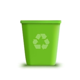 bin picture for short i CVC word families practice