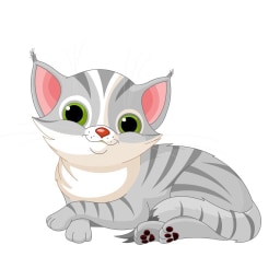 cat picture for short a and short u CVC word families practice