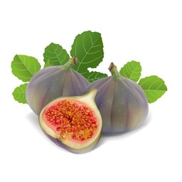 fig