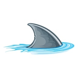 fin picture for short i CVC word families practice