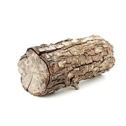 log picture for short o CVC word families practice