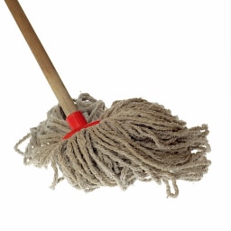 mop picture for short o and short u CVC word families practice