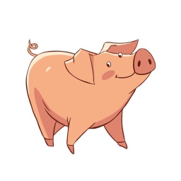 pig picture for short vowel review CVC words practice