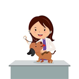 vet picture for short e CVC word families practice